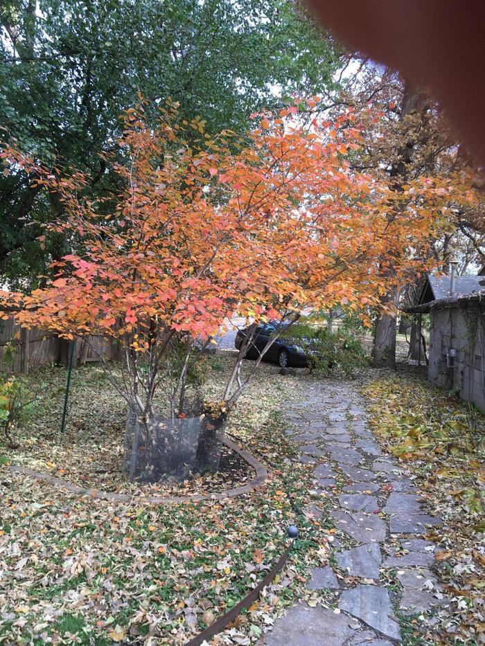 3400 Huntington Ave - Photo 2 of 10