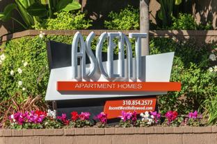 Ascent - Photo 1 of 1