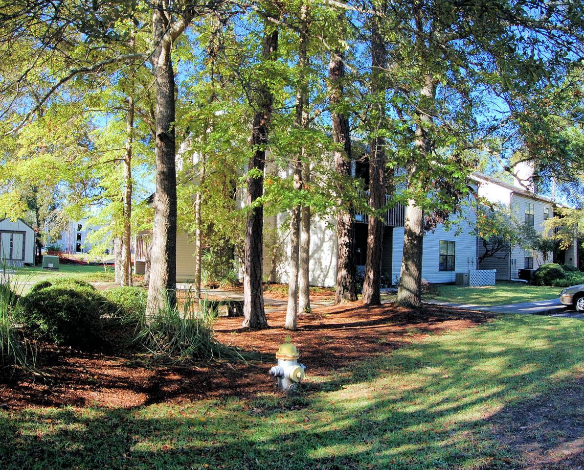 607 Montclair Dr - Photo 5 of 15