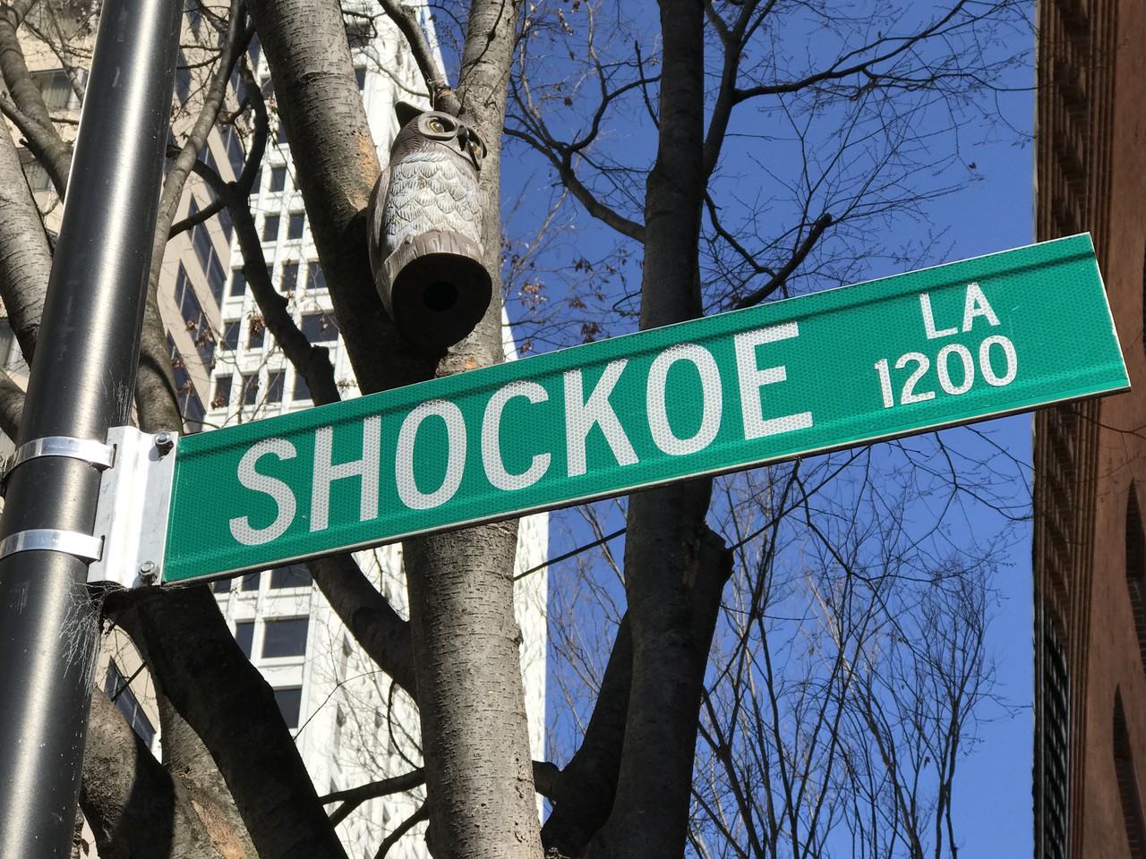 1206 Shockoe Ln - Photo 2 of 7