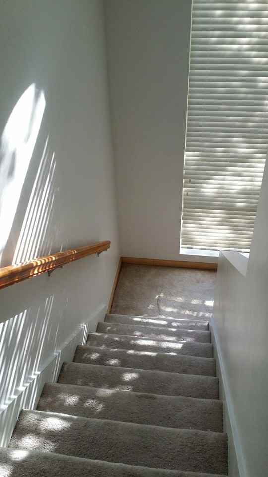 4 Meadowbrook Ave - Photo 6 of 16