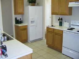 1539 Cliff Creek Dr - Photo 3 of 8