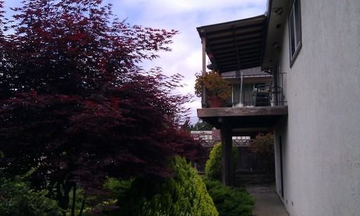 10717 Stella St - Photo 3 of 6