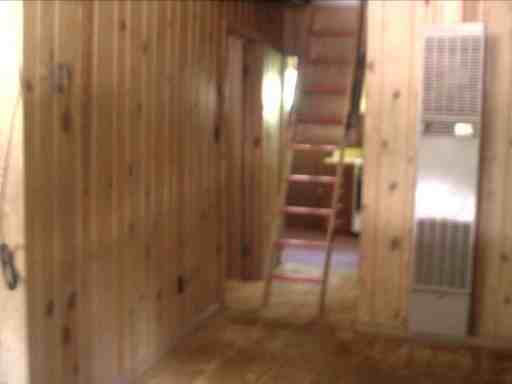 11380 Belvidere Ave - Photo 3 of 6