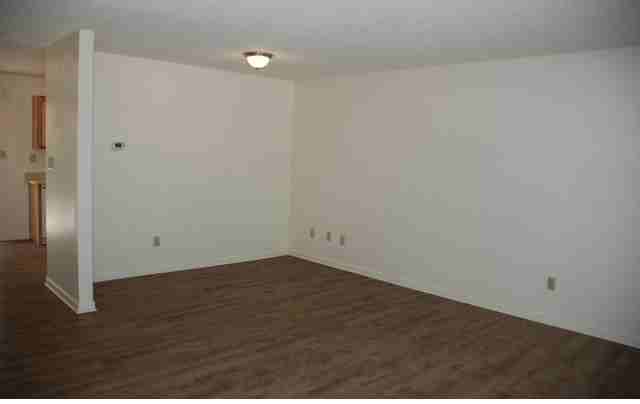 3700 Arctic Fox Dr - Photo 2 of 19