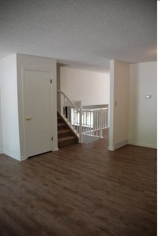 3700 Arctic Fox Dr - Photo 3 of 19