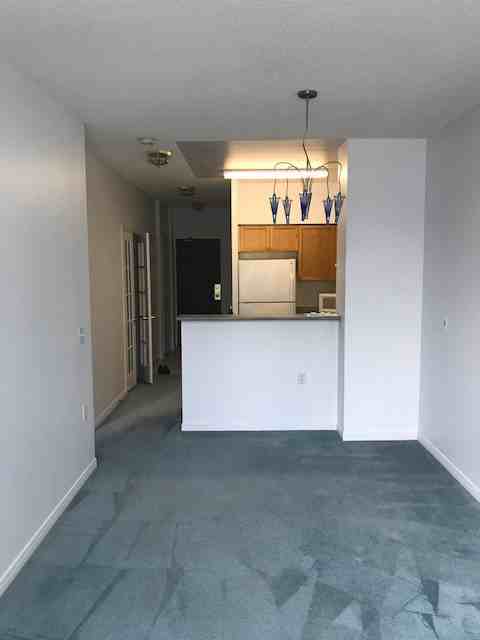 Princess Place III - 20 Olive - Photo 3 of 5