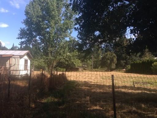 2116 NE 315th St - Photo 3 of 9