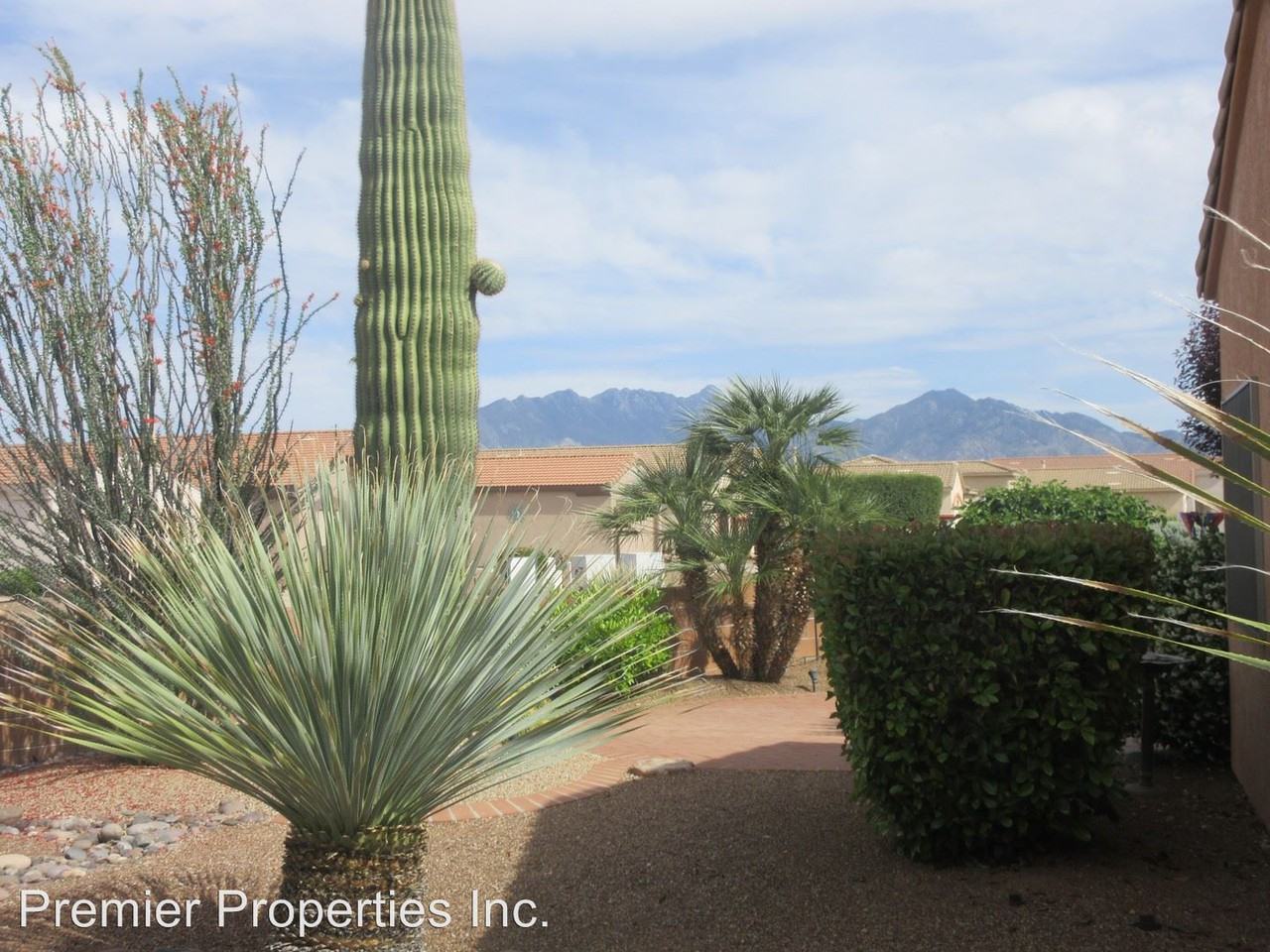 2263 S Vía Pompilo - Photo 3 of 20