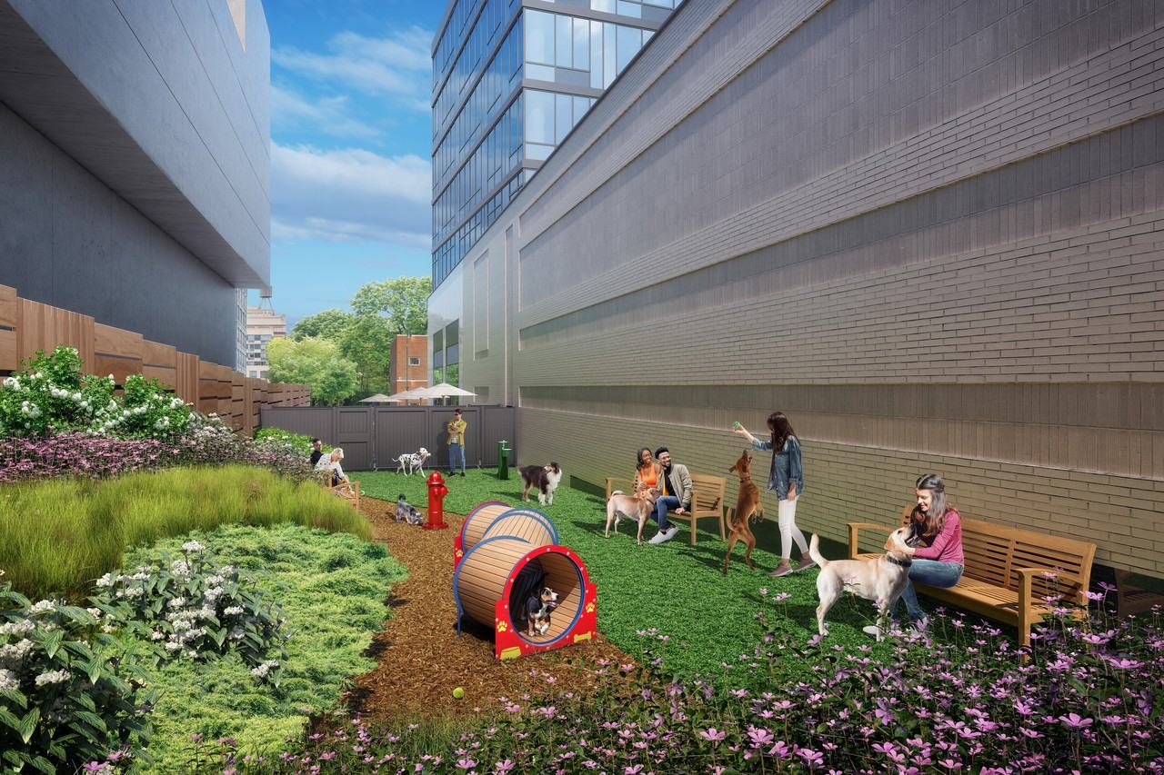 The Eagle - Photo 2 of 49