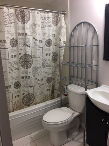 167 Goldhawk Trail #bsmt - Photo 3 of 4