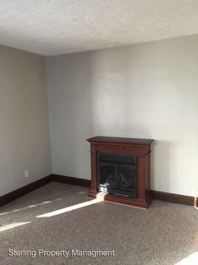 203 Chemung street - Photo 3 of 8