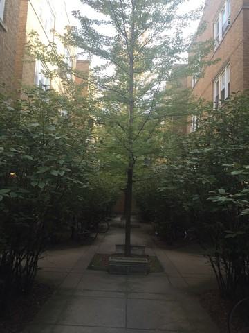 679 W Wrightwood Ave #3N