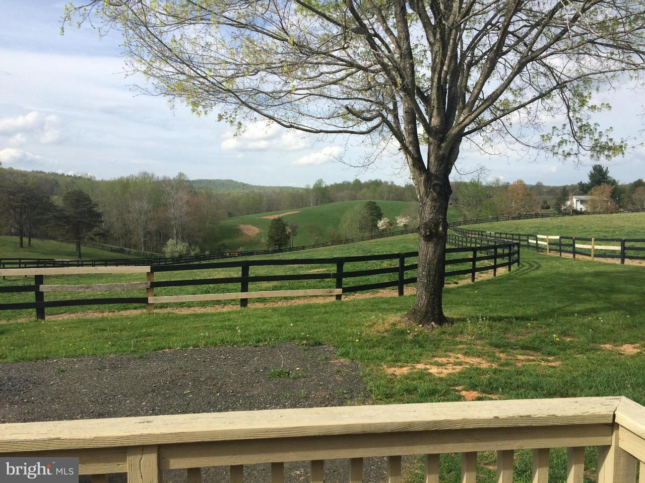 9918 Millrace Ln - Photo 2 of 10