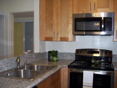 3939 Veselich Ave #6178 - Photo 1