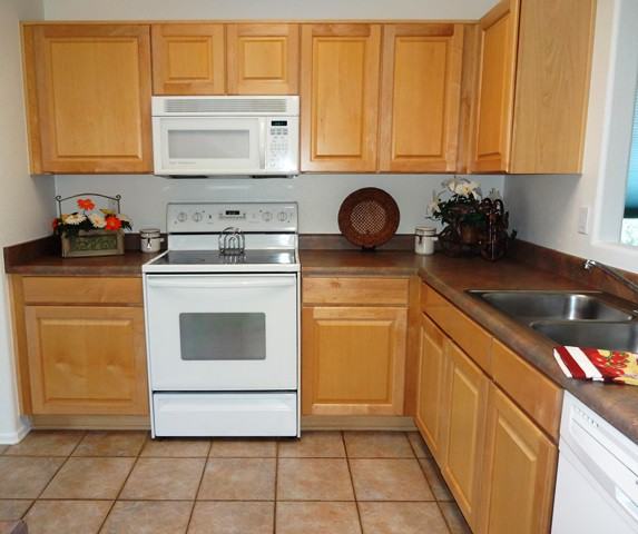 1571 S Dove St - Photo 2 of 20