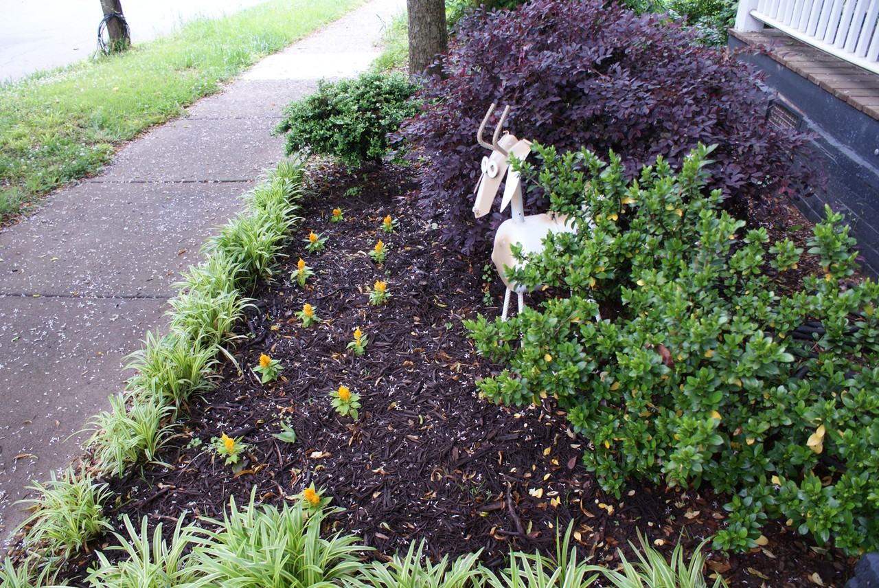 316 Baldwin Ave - Photo 3 of 9