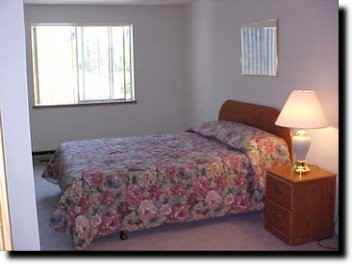 3835 Mint Place - Photo 3 of 12