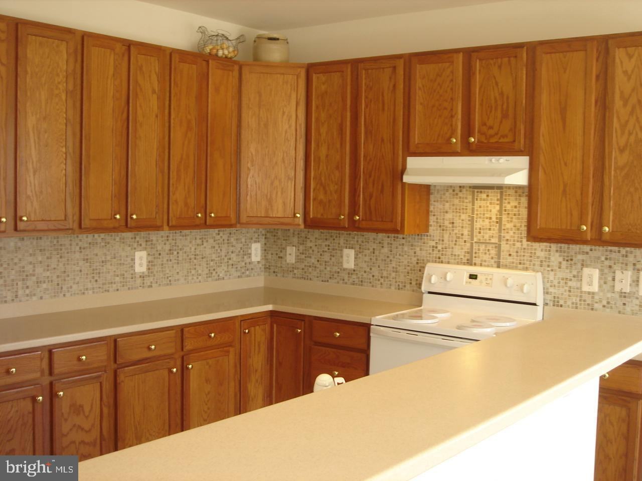 3850 Champion Oak Dr - Photo 2 of 20