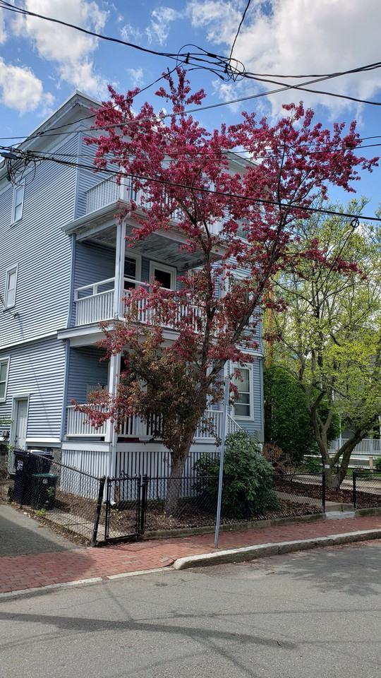 40 Tierney Street #2 - Photo 2 of 32