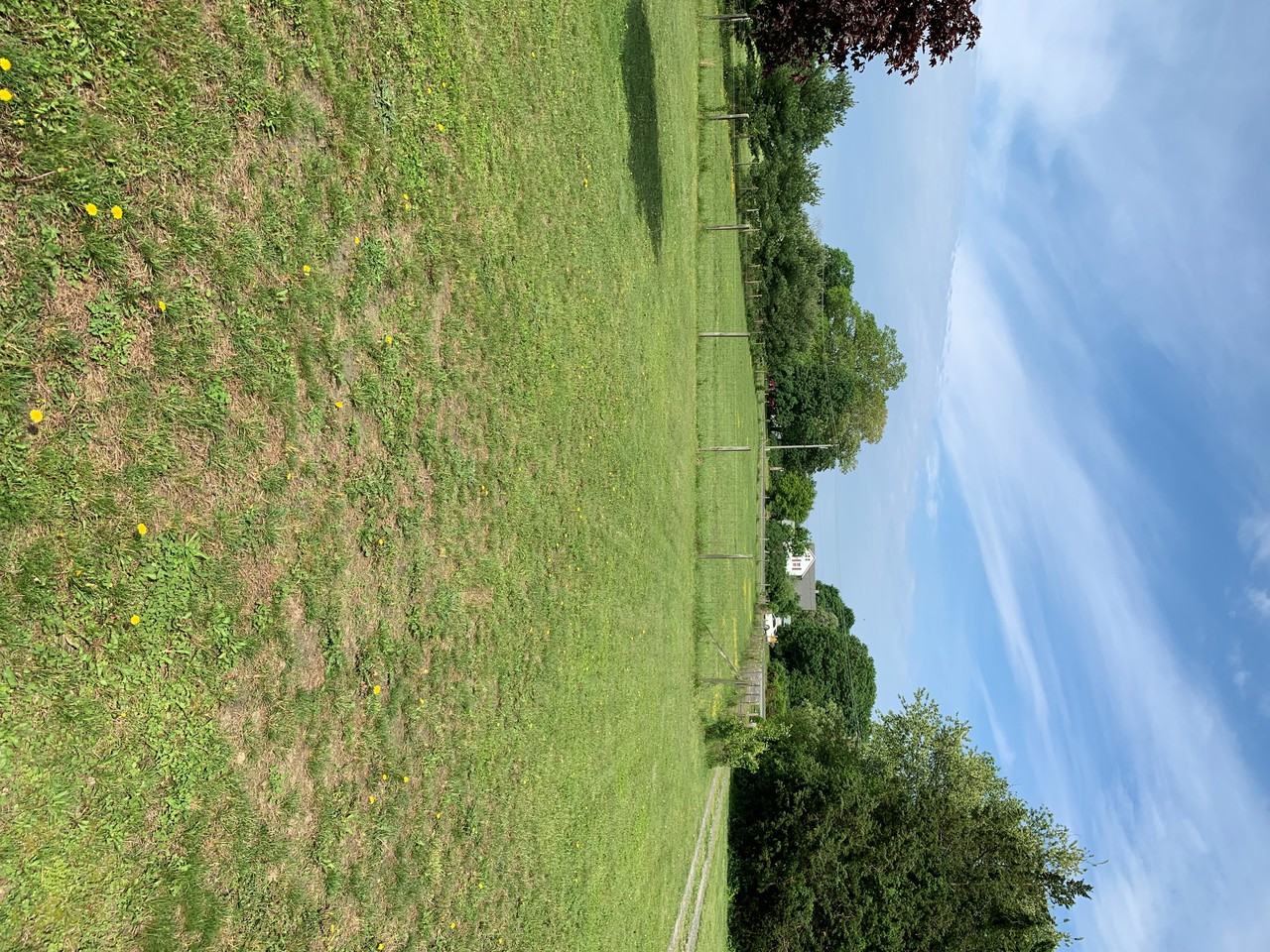 247 Lincoln Ave - Photo 2 of 26