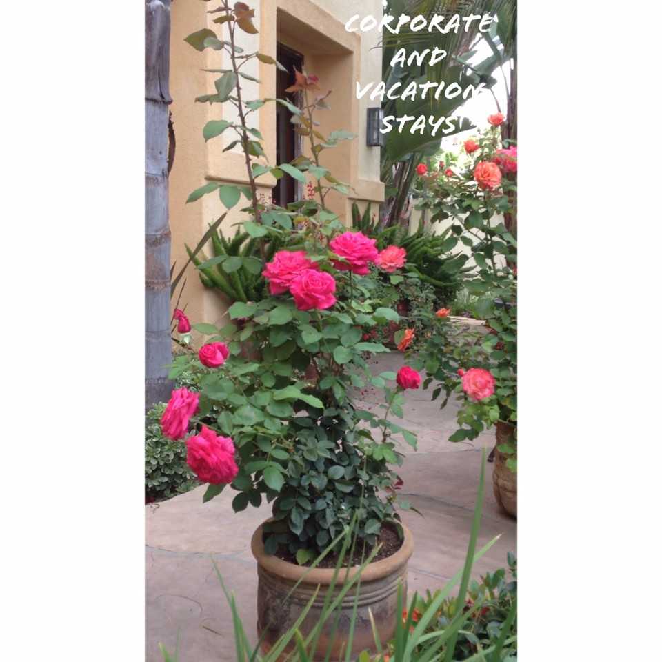 Via De Costa, San Juan Capistrano, CA 92675 3 Bedroom Apartment for