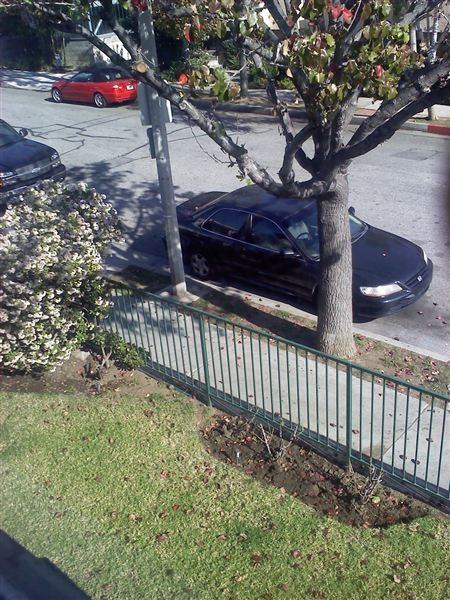 1037 N Gardner St - Photo 3 of 8