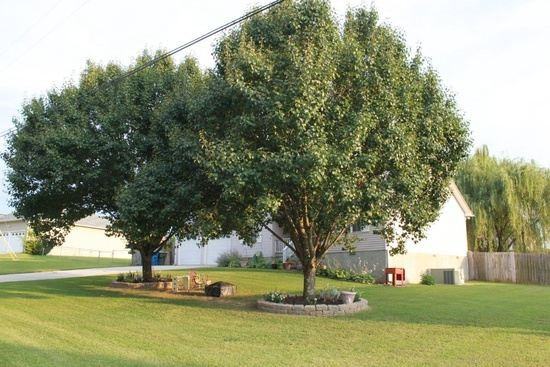 104 Plantation Dr - Photo 2 of 10