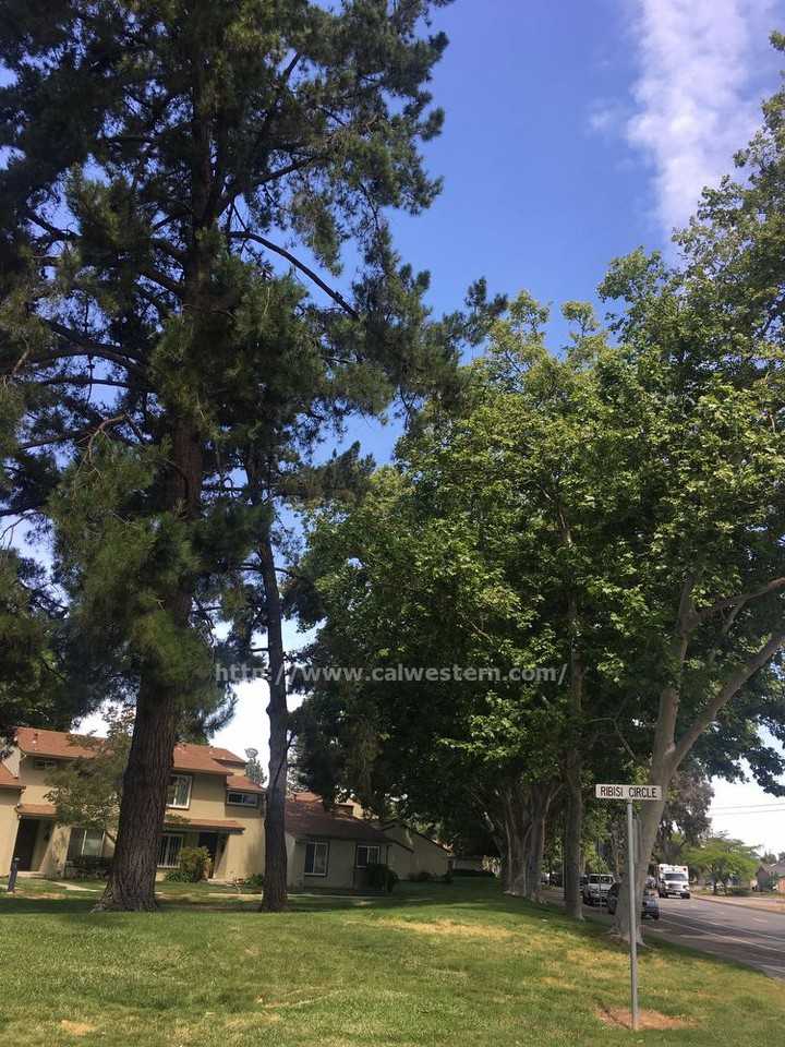 2096 Swensen Ct - Photo 2 of 16