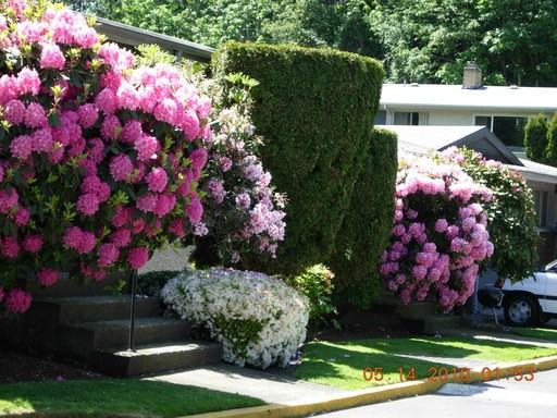 6220 S 153rd St #004 - Photo 2 of 4