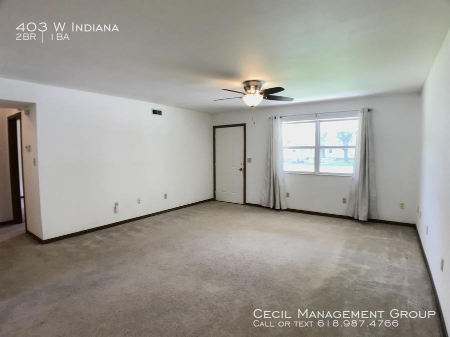 403 W Indiana St - Photo 3 of 13