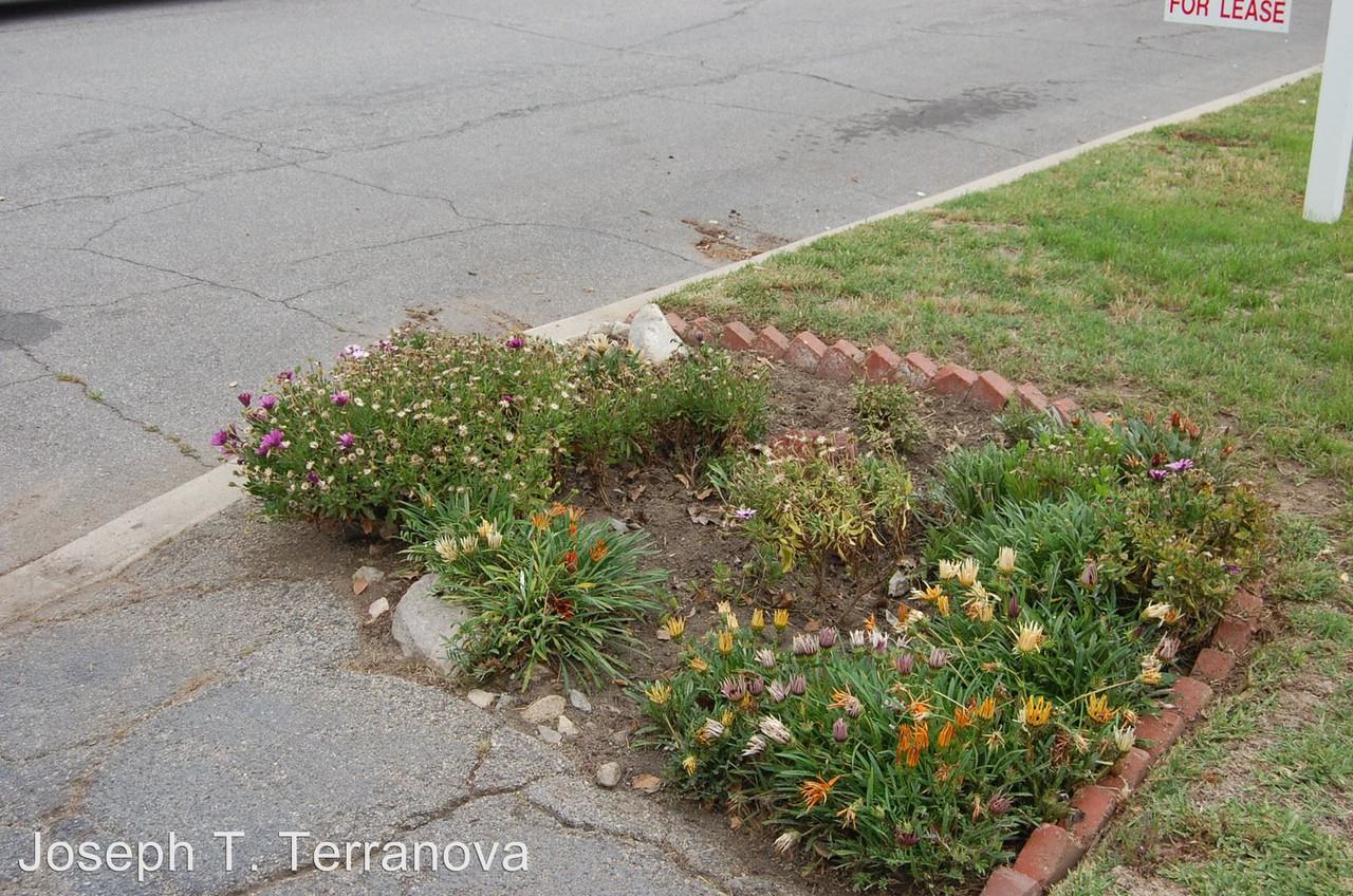 3639 Malafia Dr - Photo 3 of 29