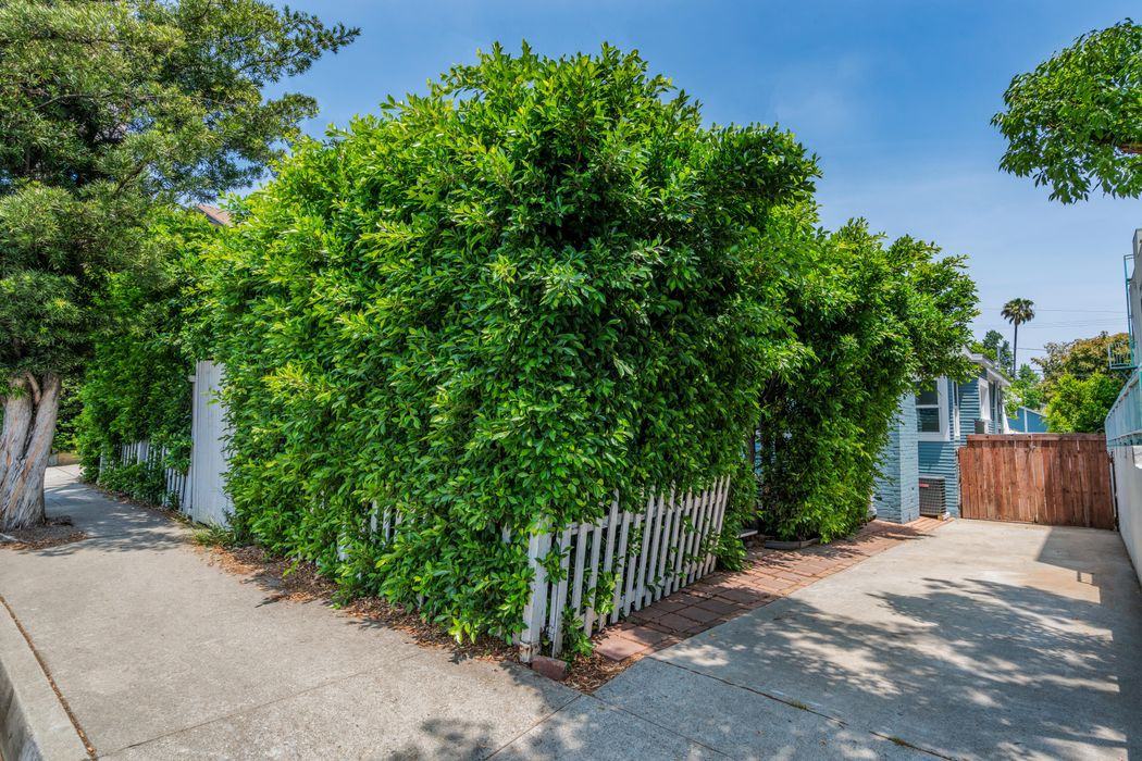 1312 N Fairfax Ave - Photo 3 of 33