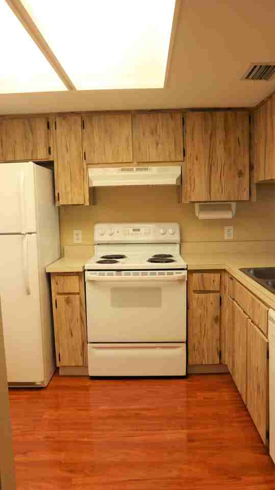 5024 Terrace Palms Cir #101 - Photo 5 of 13