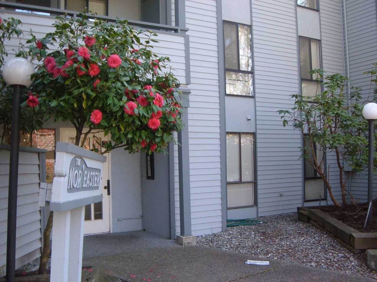 Nor'Easter - Photo 2 of 3