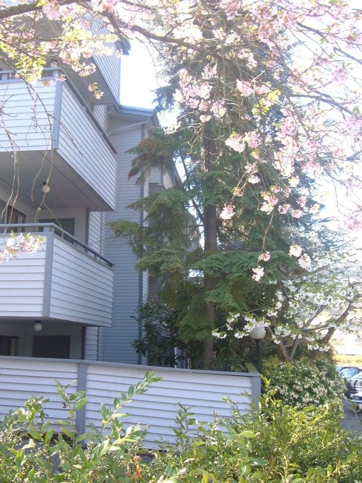 Nor'Easter - Photo 3 of 3