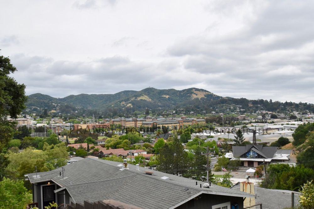 41 Martens Blvd - Photo 3 of 19