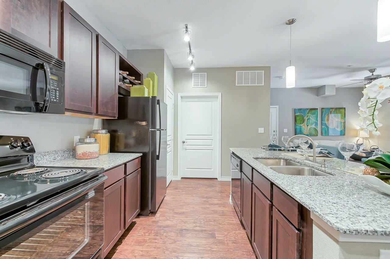 Latigo Eagle Pass - Photo 5 of 9