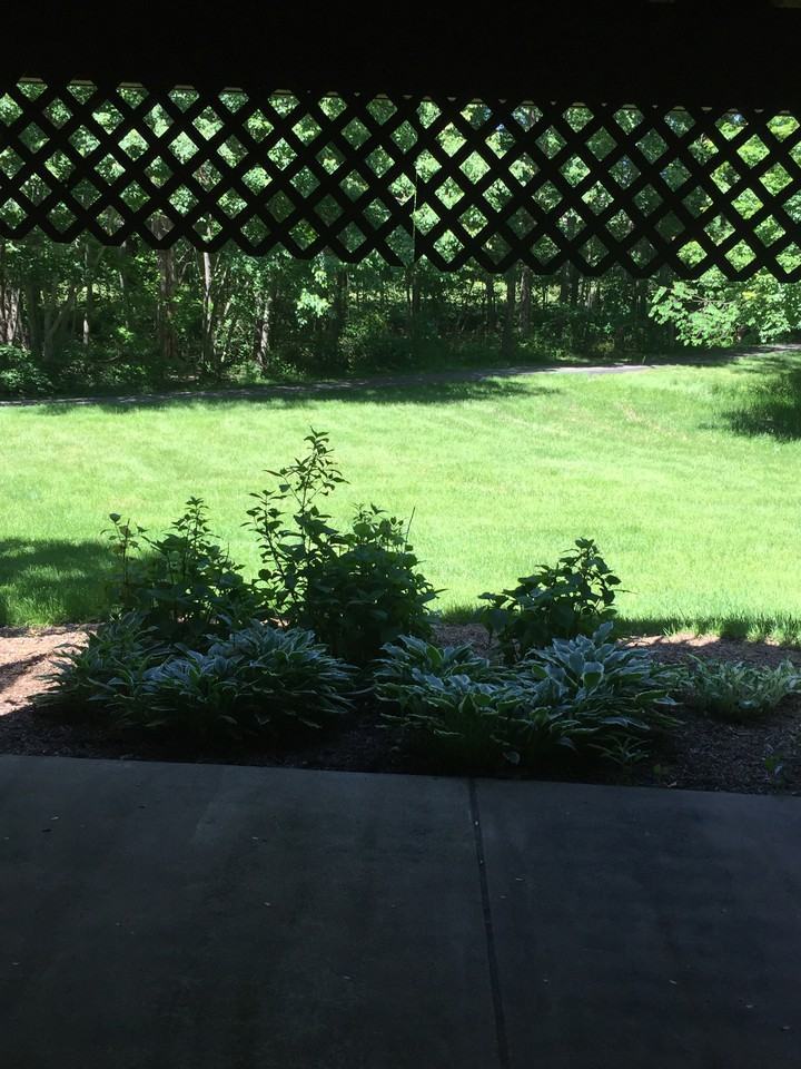 13016 Cobble Ln - Photo 3 of 13