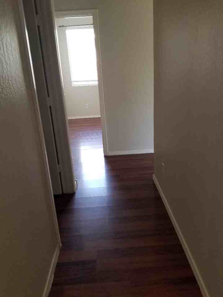 1447 E Mia Ln - Photo 4 of 25