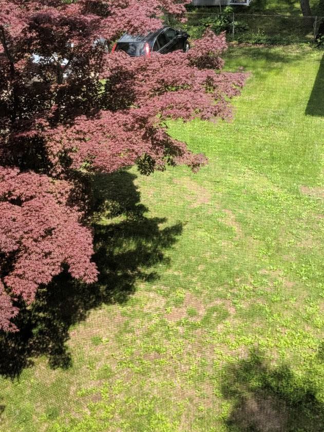 121 W Elm St #2 - Photo 2 of 13