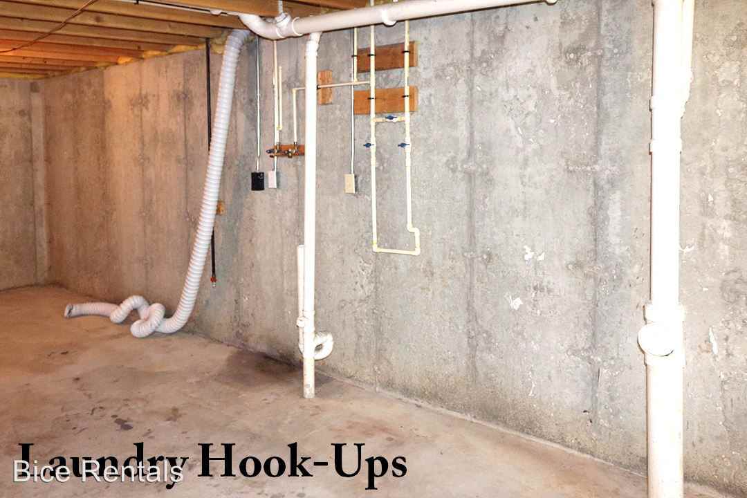 Roscoe - Photo 2 of 21