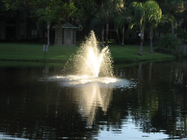 Baywater Apartments - Photo 2 of 52