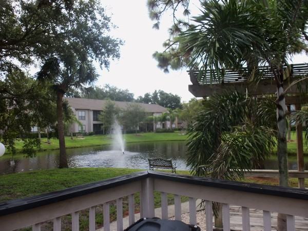 Baywater Apartments - Photo 3 of 52