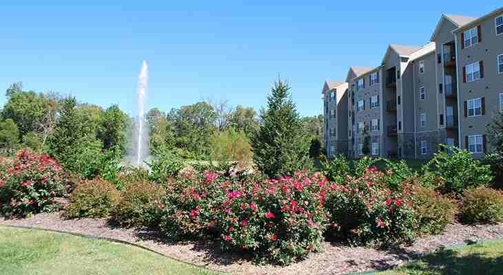 Mountain Ranch Apartments - Photo 3 of 25