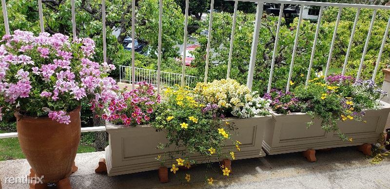 300 Cagney Ln - Photo 2 of 14