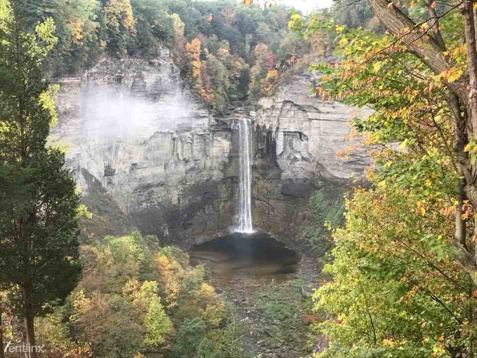 7215 Jacksonville Road - Photo 2 of 16