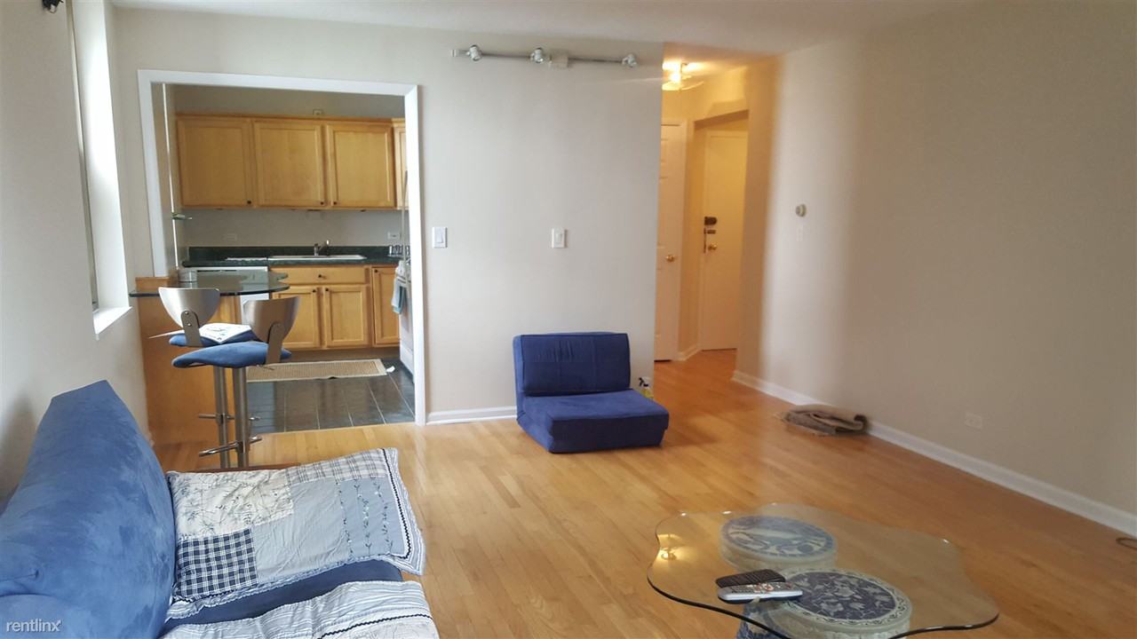 253 E Delaware Pl - Photo 3 of 18