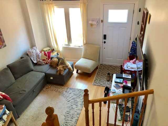 Spadina Ave & Harbord St - Photo 3 of 17