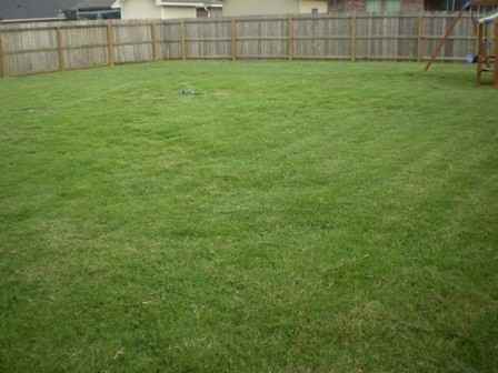 531 Chinquipin Dr - Photo 2 of 41